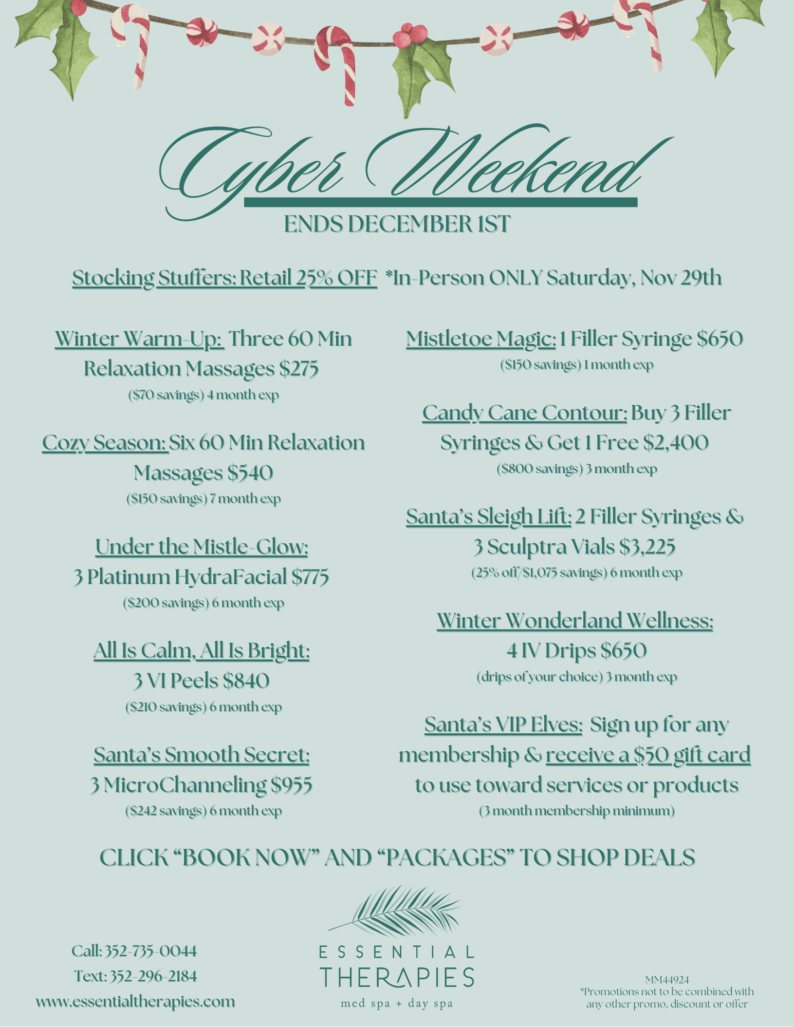 Cyber Monday Special